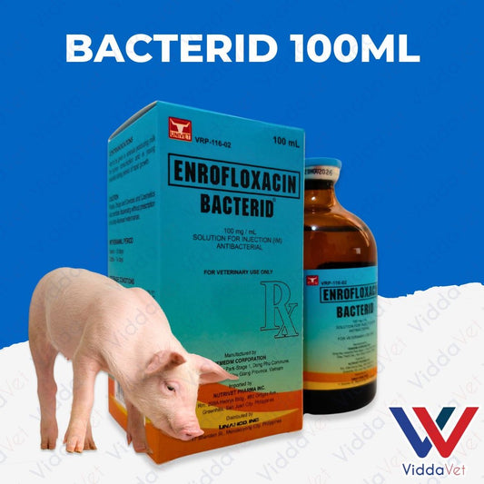 Bacterid 100ml
