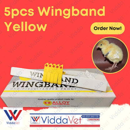 Wing Bands Yellow 5pcs