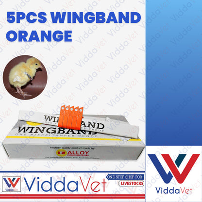 Wing Bands Orange 5pcs
