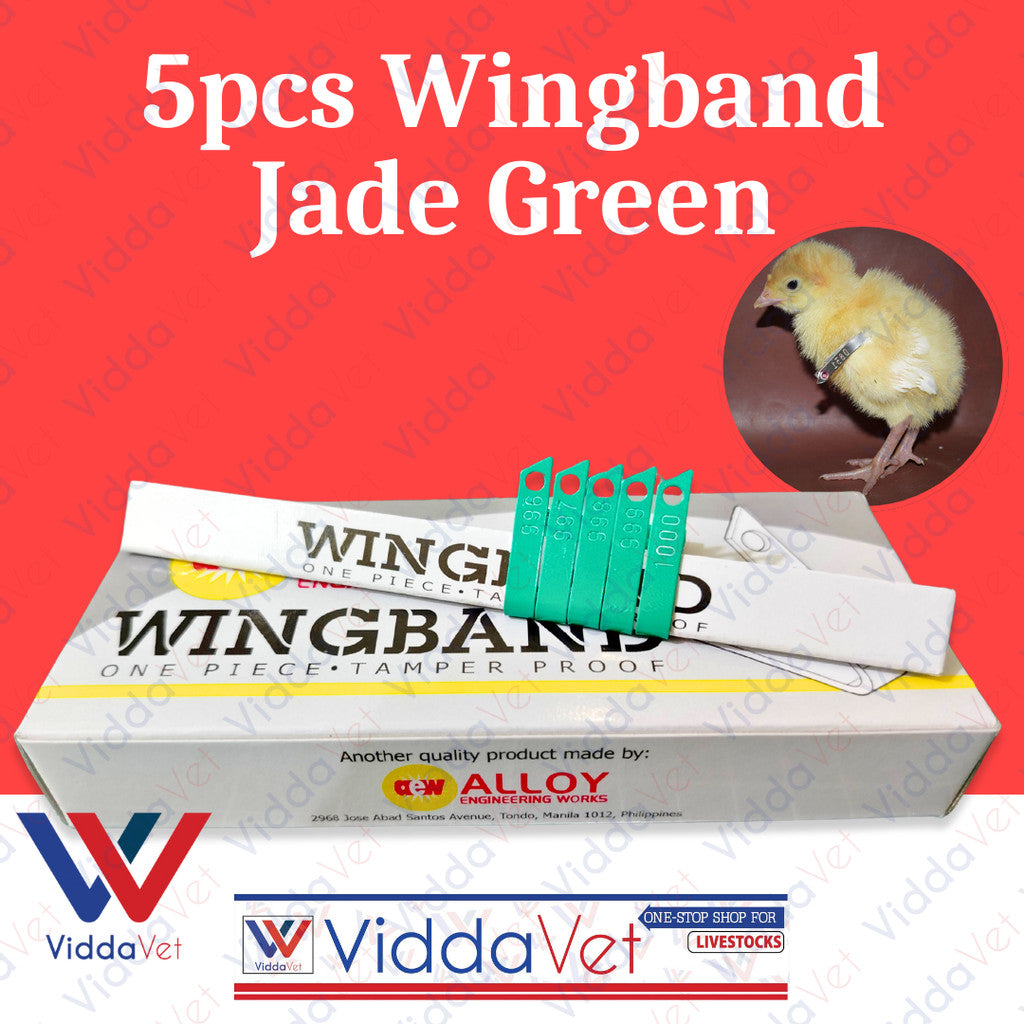 Wing Bands Green 5pcs