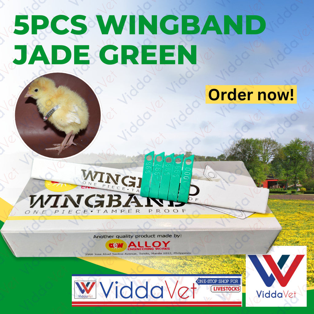 Wing Bands Green 5pcs
