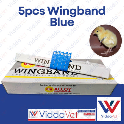 Blue Wingband 5pc
