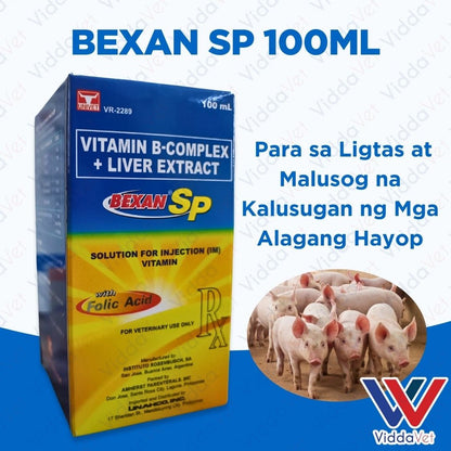 Bexan SP 100mL