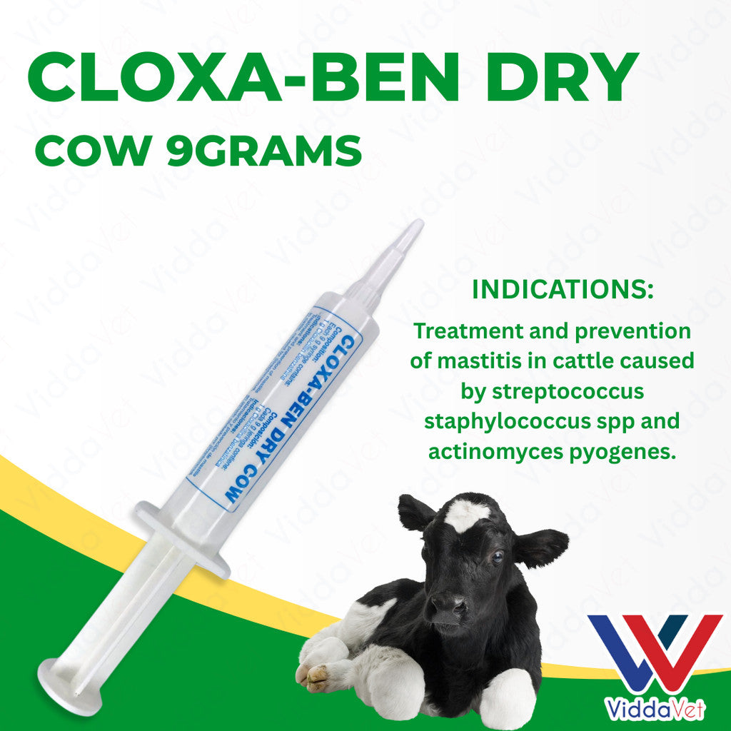 Cloxa-Ben Dry Cow 9g