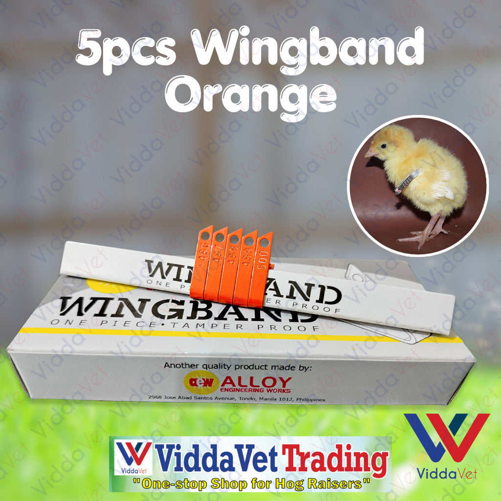 Wing Bands Orange 5pcs