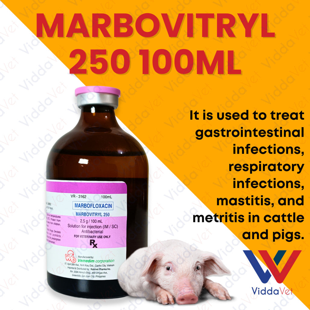 Marbovitryl 250 100ml