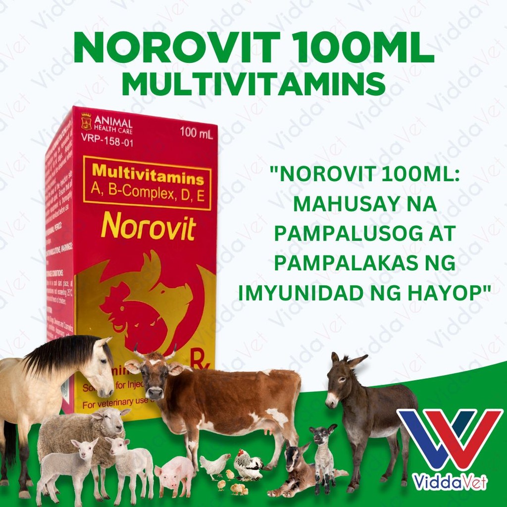 Norovit 100ml