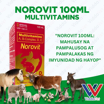 Norovit 100ml