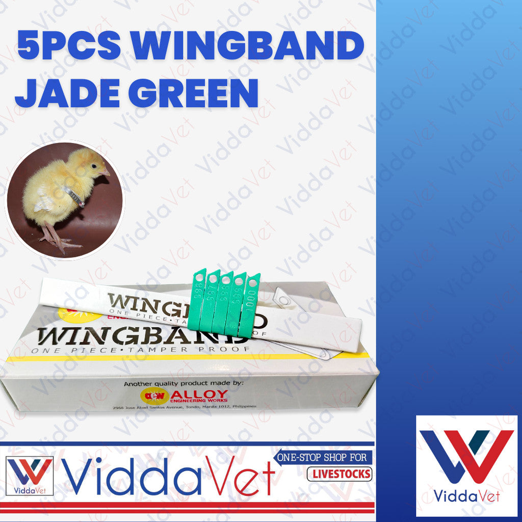 Wing Bands Green 5pcs