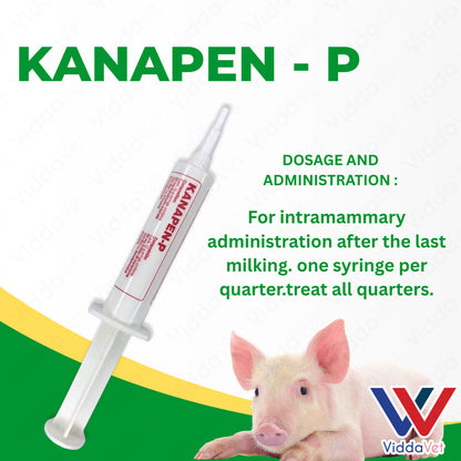 Kanapen P