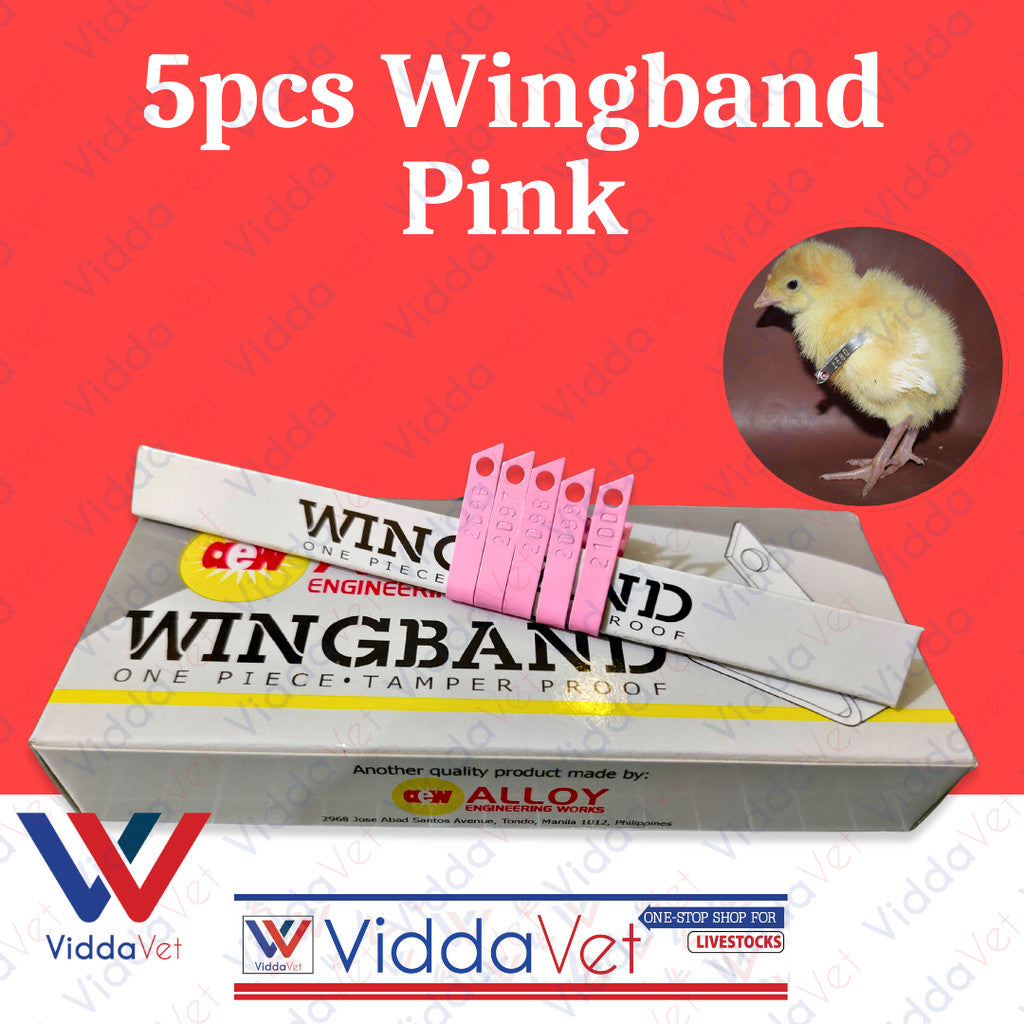 Wing Bands Pink 5pcs