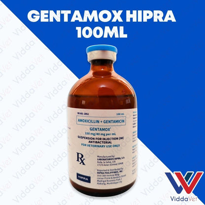 Gentamox Hipra 100ml