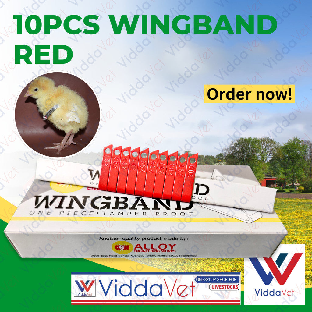Wing Bands Red 10pcs