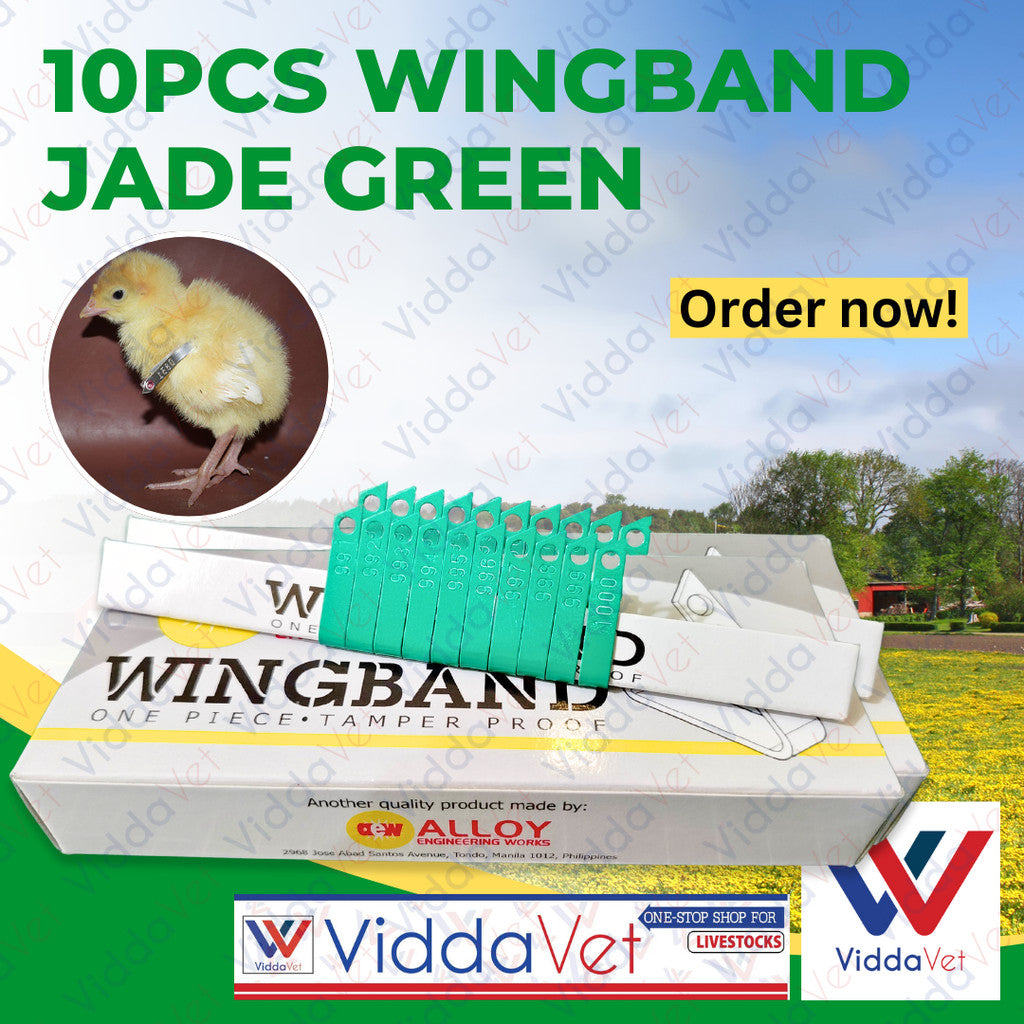 Wing Bands Green 10pcs