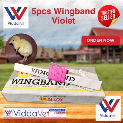 Wing Bands Violet 5pcs