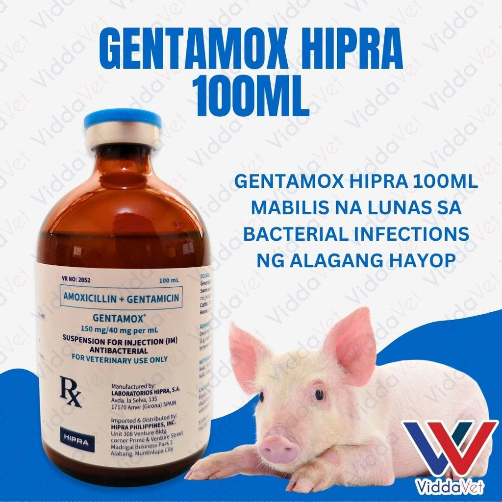 Gentamox Hipra 100ml