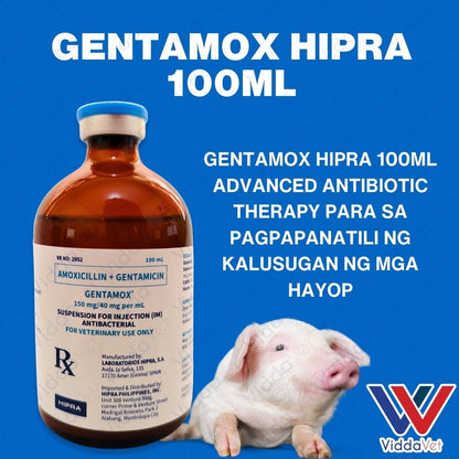 Gentamox Hipra 100ml
