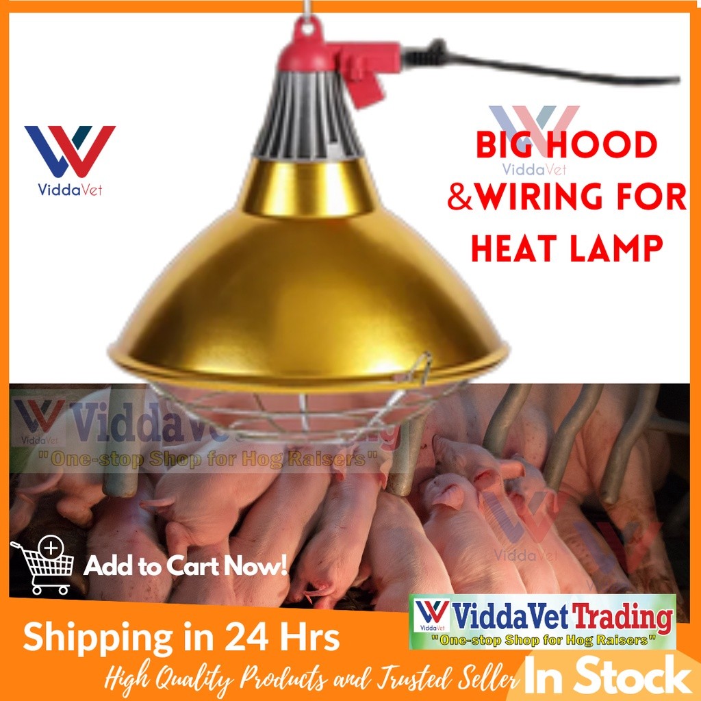 Golden Big Hood and Wiring Heat Lamp 150w and 100w