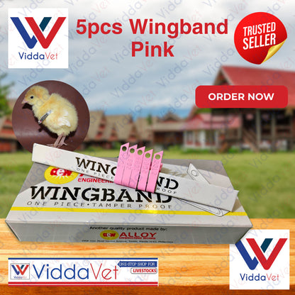 Wing Bands Pink 5pcs