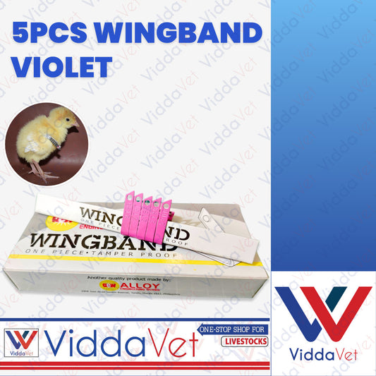 Wing Bands Violet 5pcs