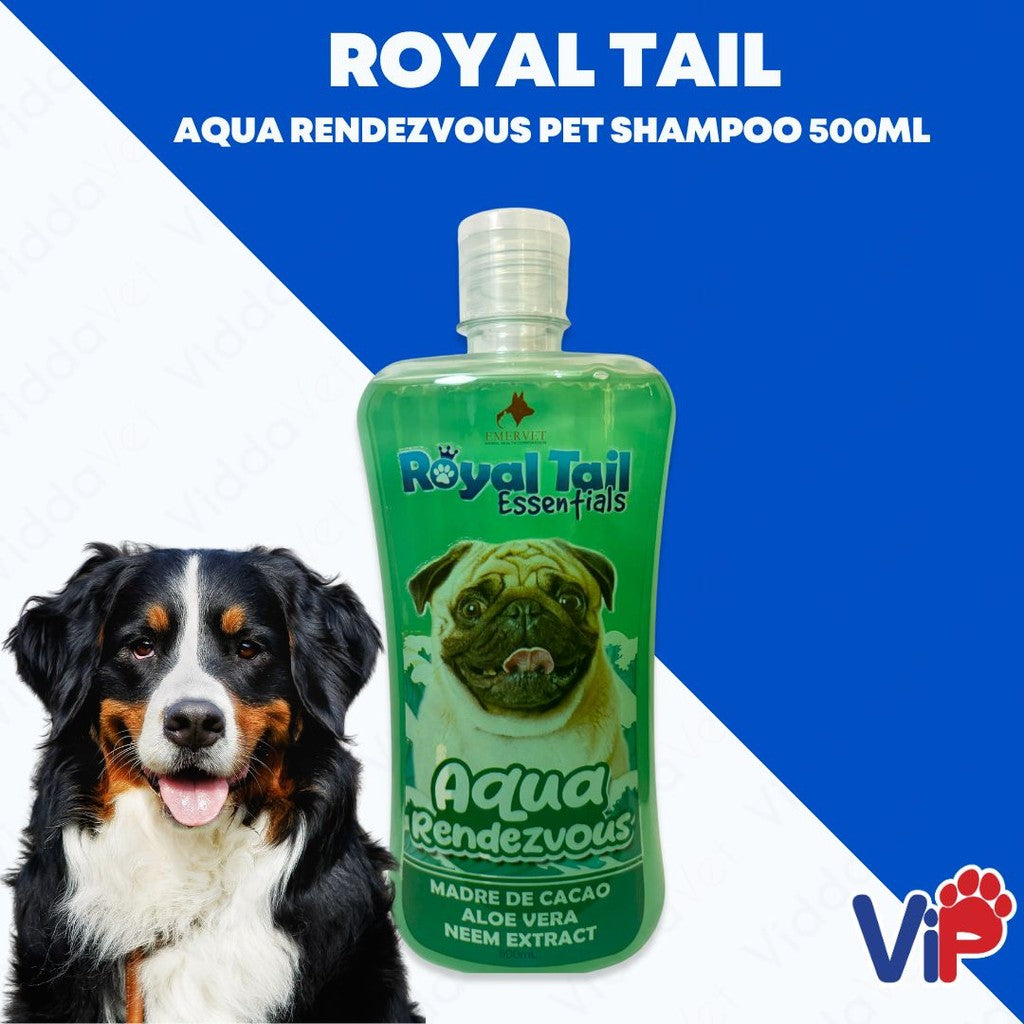Royal Tail Aqua Rendezvous Shampoo 500ml