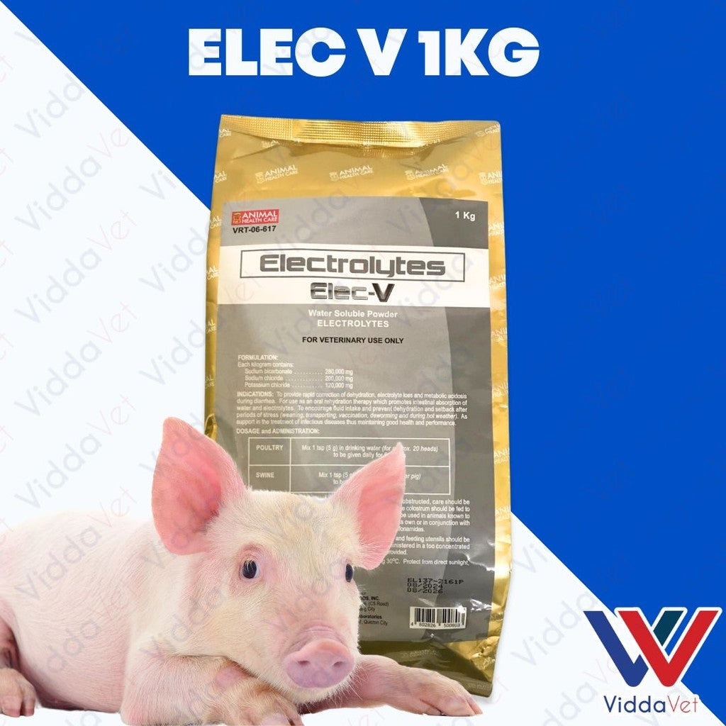 ELEC-V 1KG Electrolytes for Livestock, Supporting Energy and Vitality for Animals