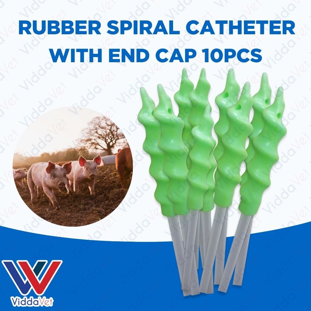 Pig Spiral Catheter 10pcs