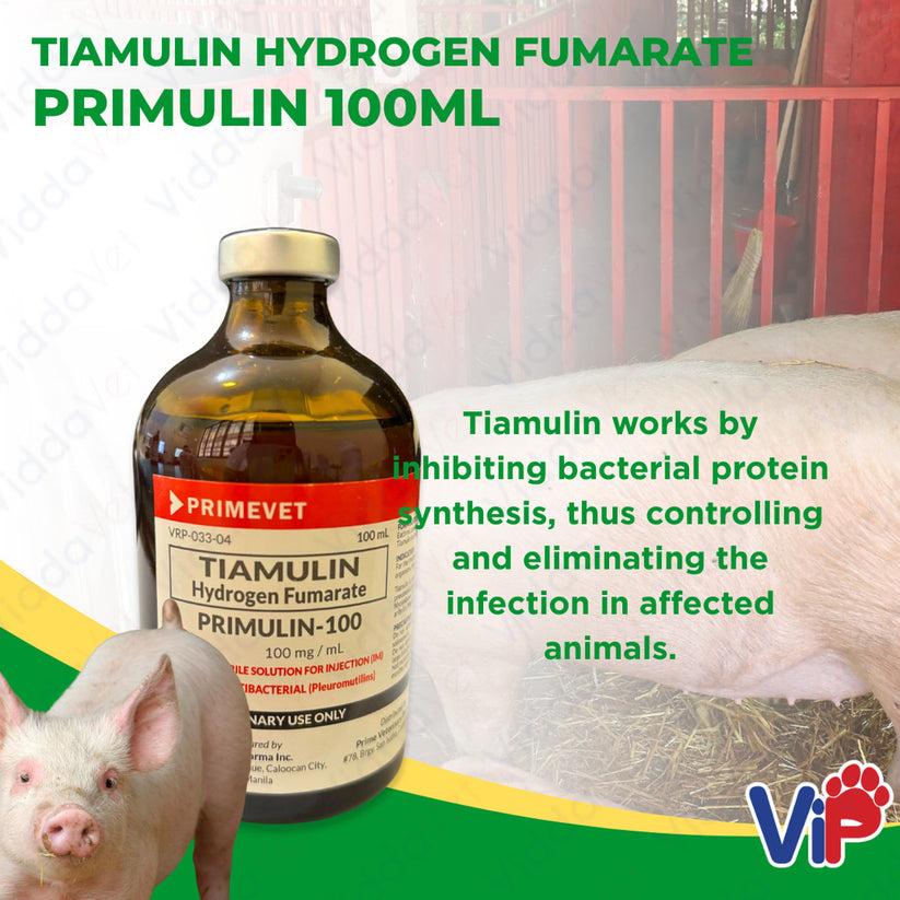 Primulin 100mL - Tiamulin Hydrogen Fumarate Veterinary Antibiotic ...