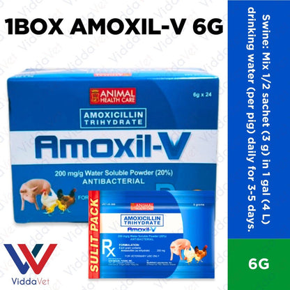Amoxil V 6g 24pcs (1 Box)