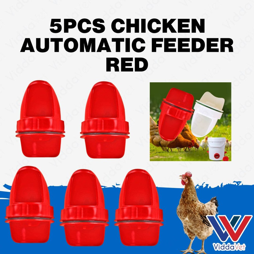 Chicken Automatic Feeder Red 5pcs
