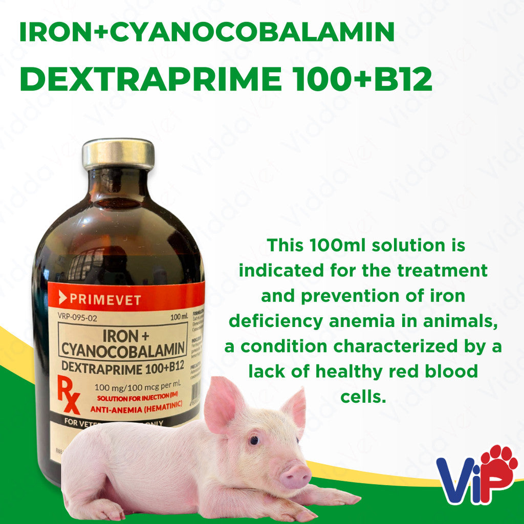 Dextraprime 100 (B12)
