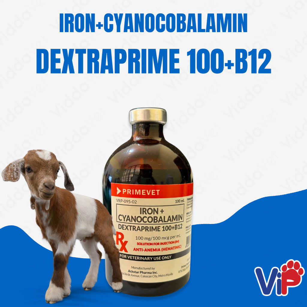 Dextraprime 100 (B12)