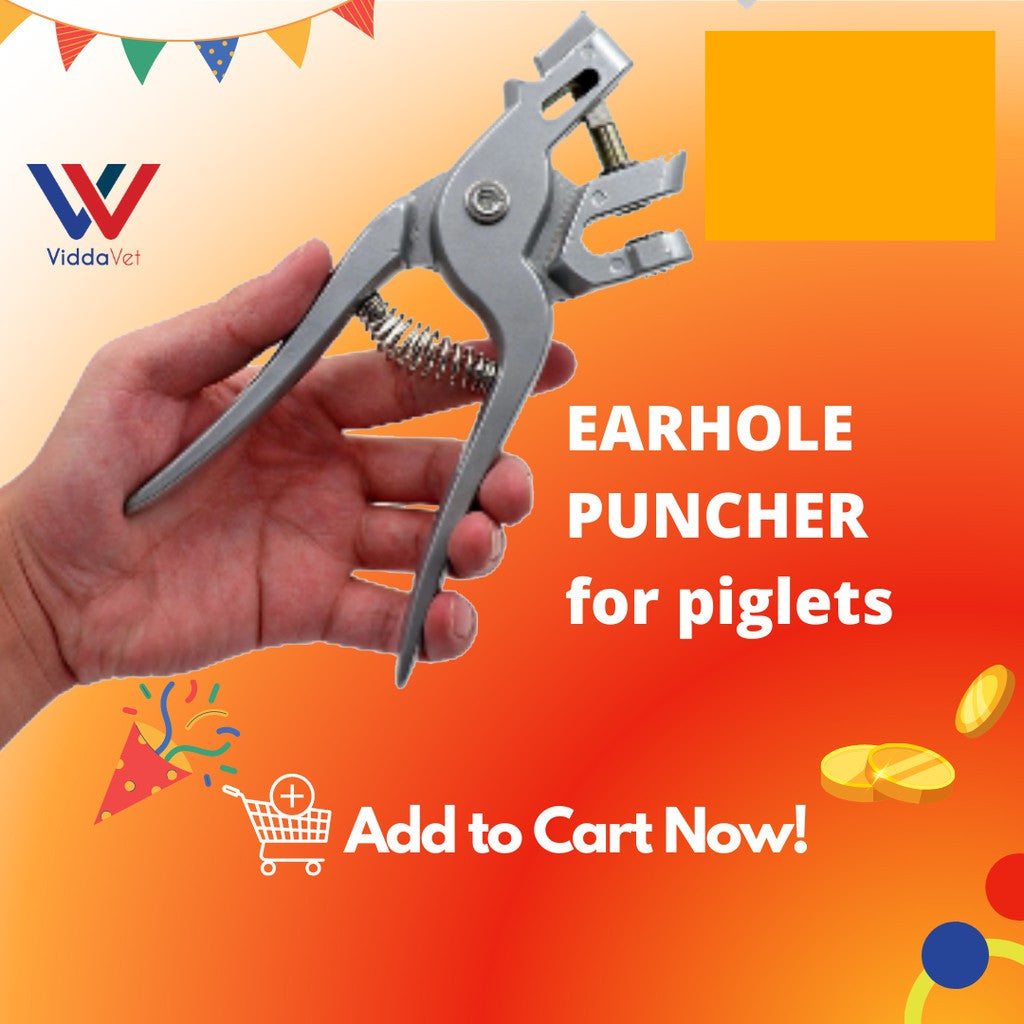 Ear Hole Puncher