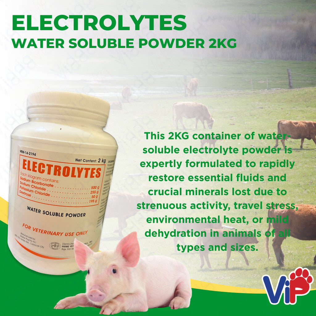 ELECTROLYTES WATER SOLUBLE POWDER 2kg