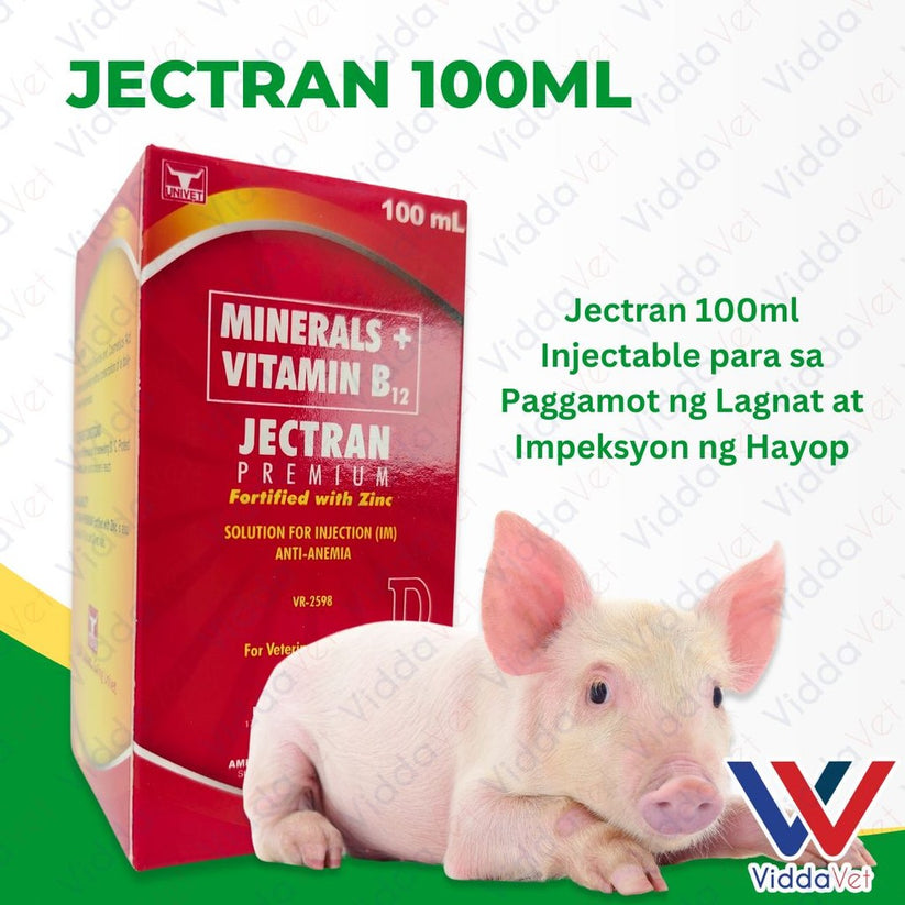 Jectran Iron Dextran Injection 100ml - Swine Anemia Prevention ...
