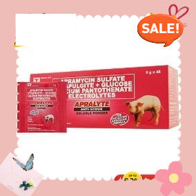 Apralyte 6g (48pcs)1box
