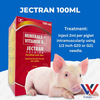 Jectran 100ml