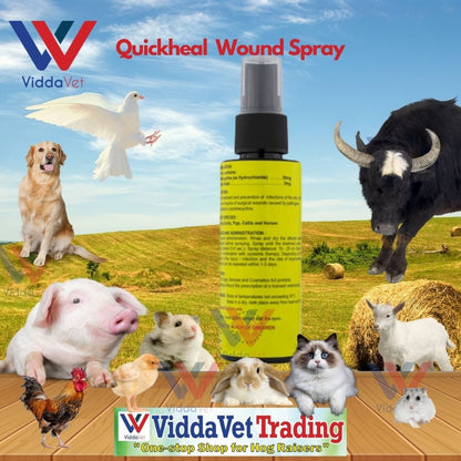 Quick Heal Wound Spray 50ml