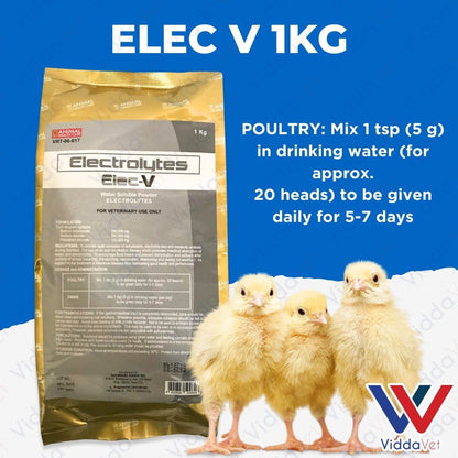 ELEC-V 1KG Electrolytes for Livestock, Supporting Energy and Vitality for Animals