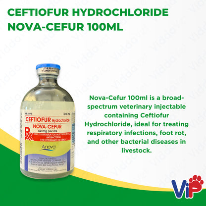 Nova cefur 100mL