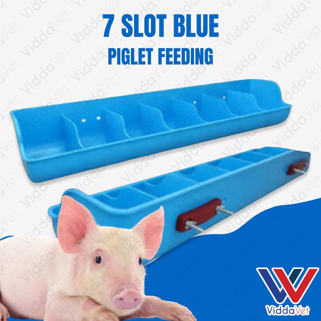 7 Slot Blue Piglet Feeder