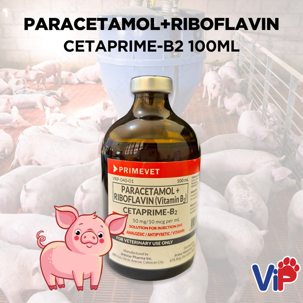 Cetaprime - B2 Paracetamol Riboflavin  B2 100ML
