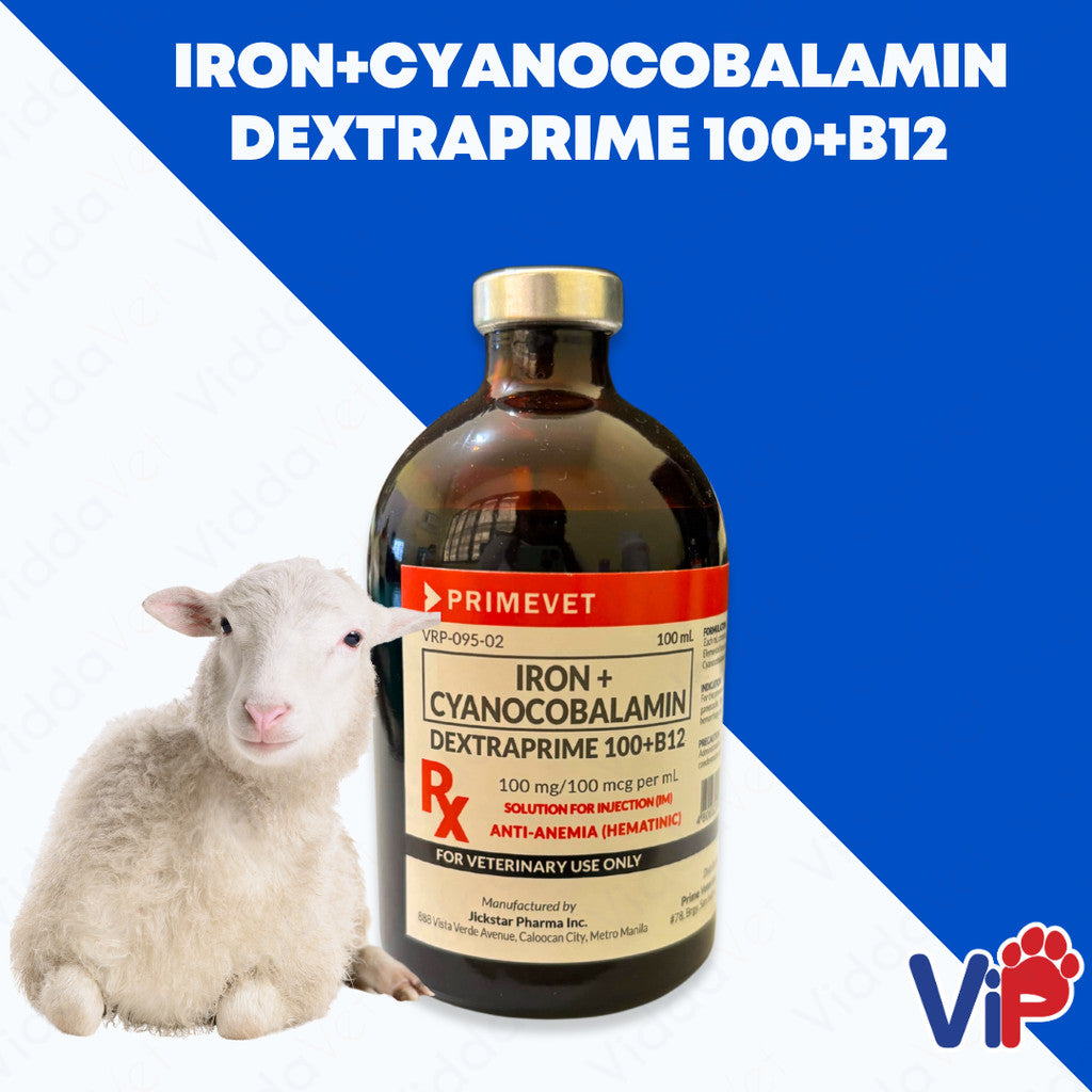 Dextraprime 100 (B12)