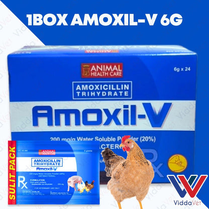 Amoxil V 6g 24pcs (1 Box)