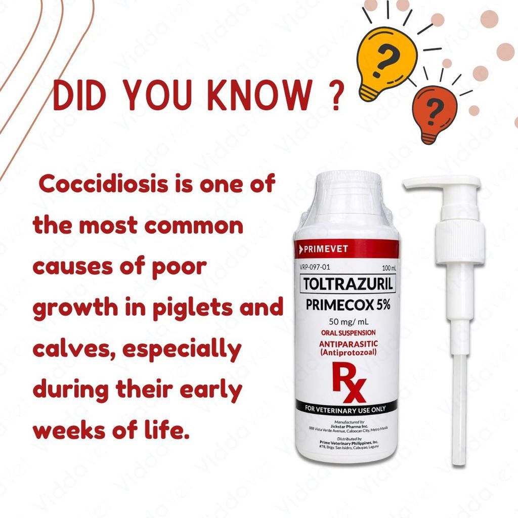 Primecox 5% 100ml Toltrazuril for Piglets and Calves Growth Support