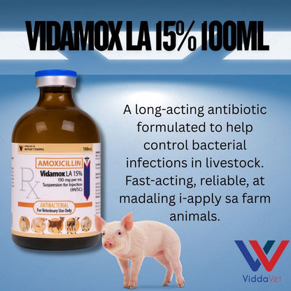 Vidamox LA 100ml Para sa May Sipon na Manok