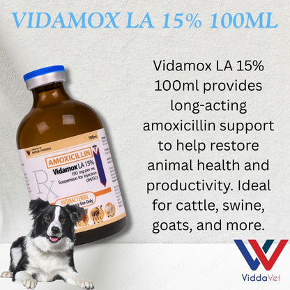 Vidamox LA 100ml Para sa May Sipon na Manok