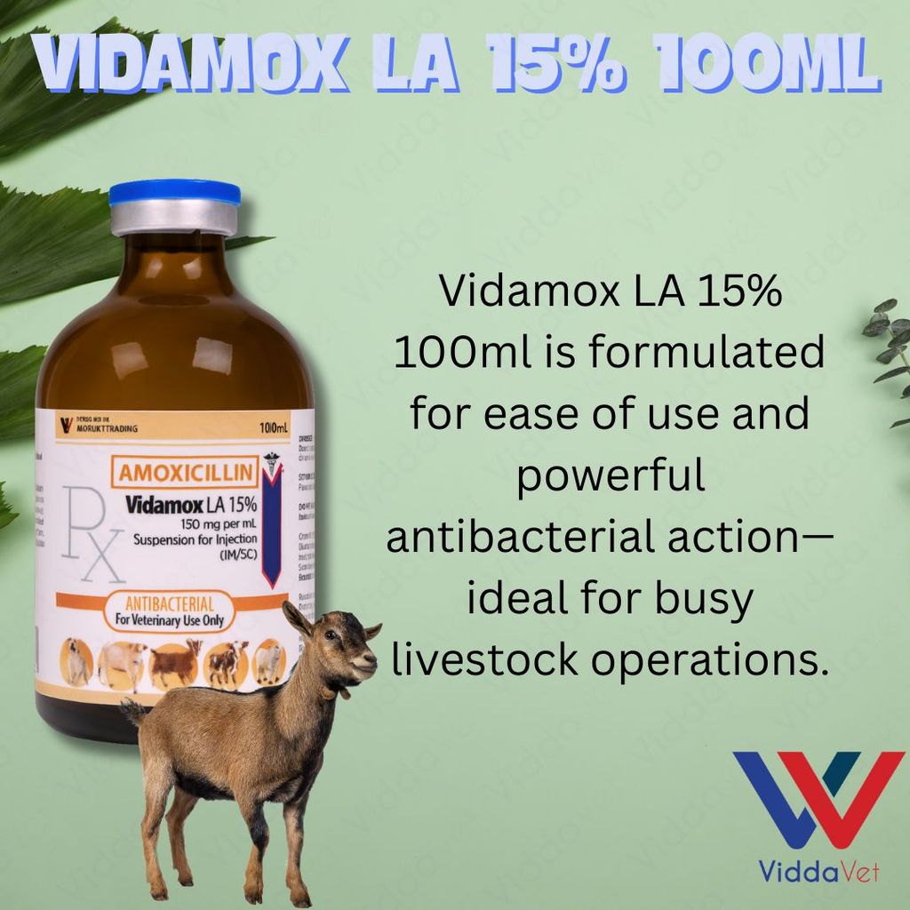 Vidamox LA 100ml Para sa May Sipon na Manok
