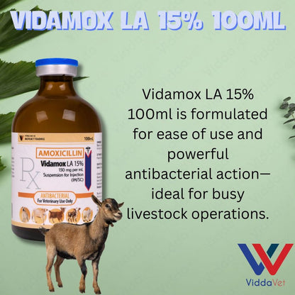 Vidamox LA 100ml Para sa May Sipon na Manok
