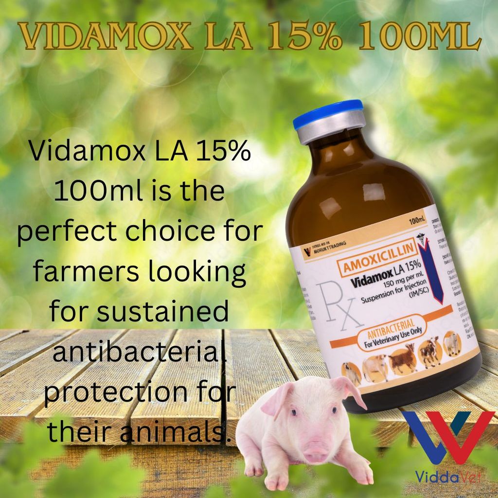Vidamox LA 100ml Para sa May Sipon na Manok